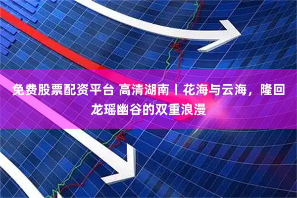 免费股票配资平台 高清湖南丨花海与云海，隆回龙瑶幽谷的双重浪漫
