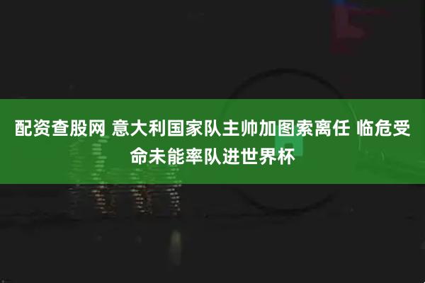 配资查股网 意大利国家队主帅加图索离任 临危受命未能率队进世界杯